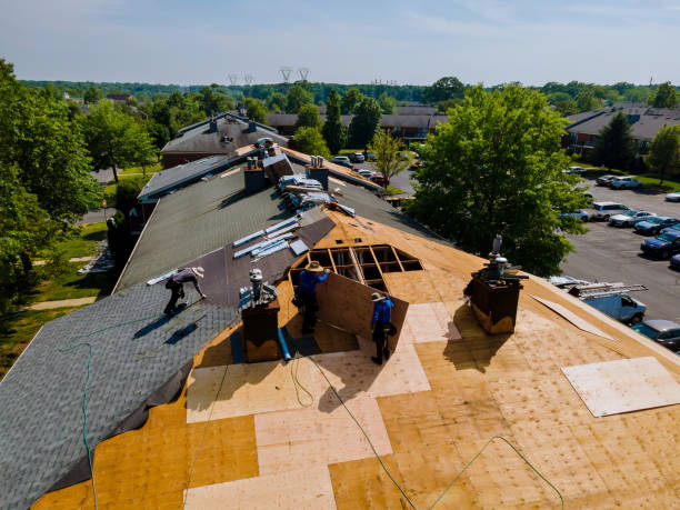 Trusted Roof Replacement service in University Park, MD - Brentwood Metal Roofing